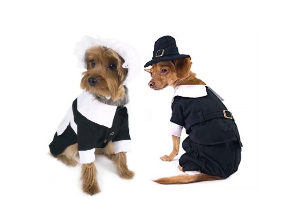 Pilgrim Dog Costumes Traditional Thanksgiving Boy or Girl - My Poochie's  Paradise