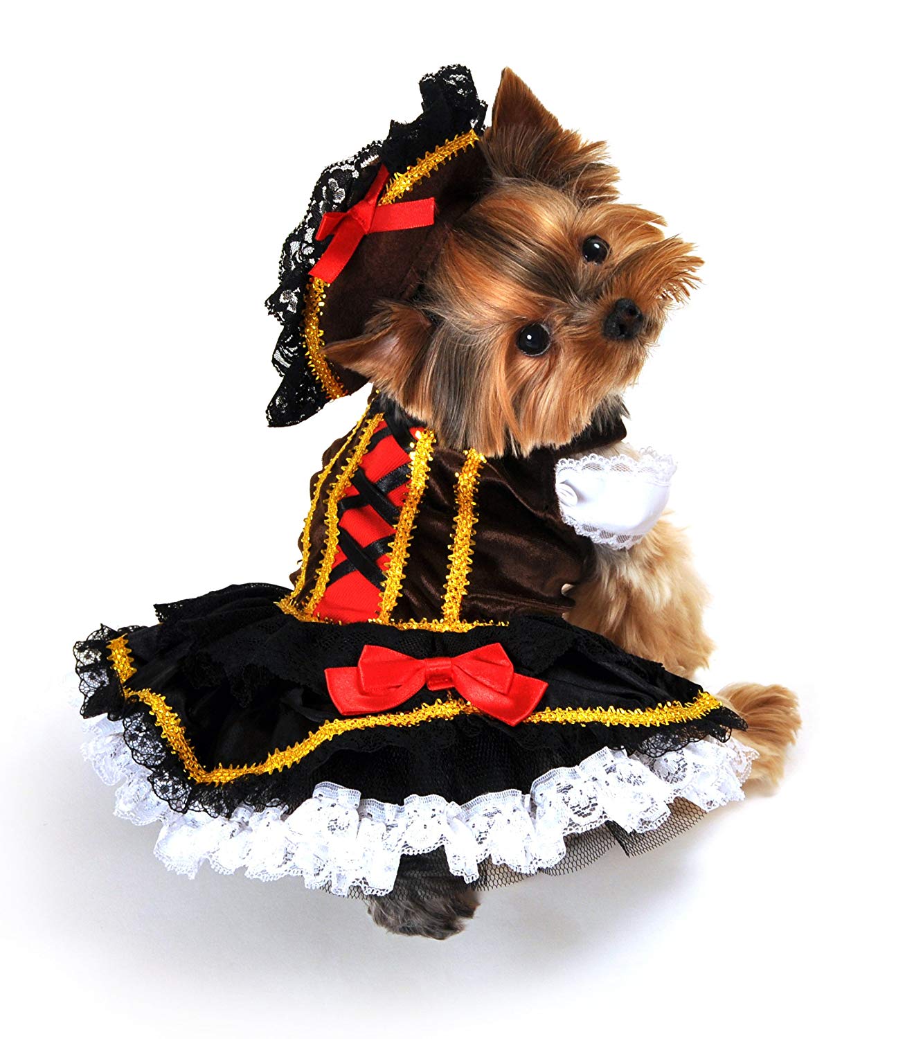 Swashbuckler Pirate Dog Costume Detailed Black Velveteen Petticoat Dress and Hat - My Poochie's Paradise