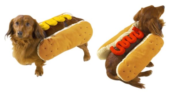 Hot Dog MUSTARD Dog Puppy Hot Diggity Costume Party Halloween Plush Misc Sizes 