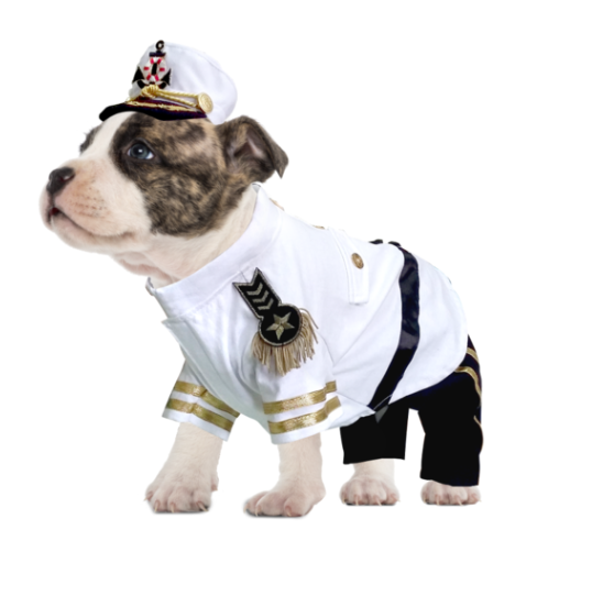Sailor Costume for Dogs