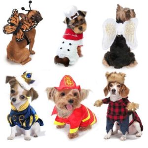 All Dog Costumes