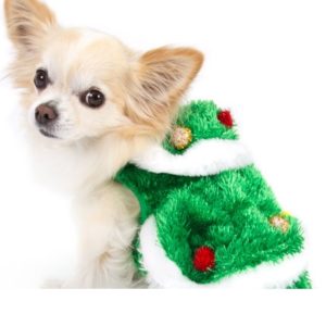 Holiday Theme Dog Costumes