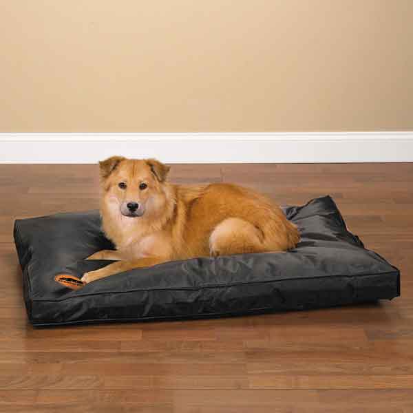 Chew-Proof Beds for Dogs  Chew Resistant Beds for Dogs