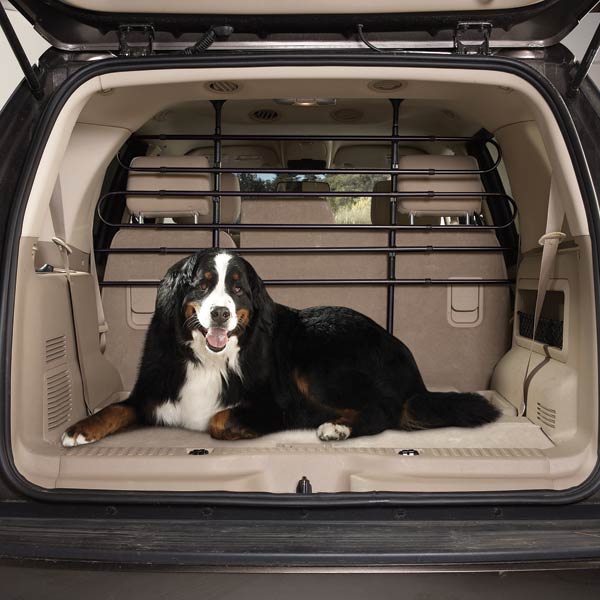 dog gate for truck