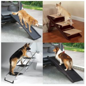 Ramps and Steps for Dogs